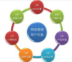 互聯網營銷的真相 從流量到價值轉化的全過程解析