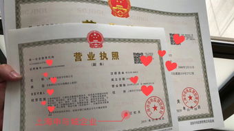 外資企業(yè)辦理流程,外商投資者注冊(cè)公司