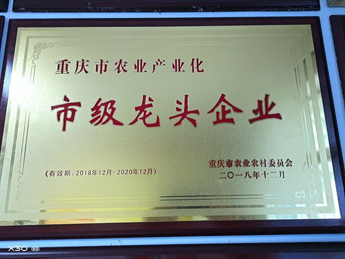 渝米集團(tuán)投資近1000萬(wàn)元大米智能生產(chǎn)線(xiàn) 已完成地面平整