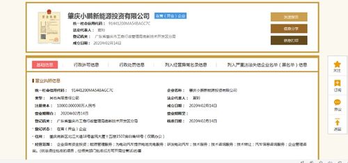 小鵬汽車深化產(chǎn)業(yè)布局 1億元設(shè)立新能源投資公司，分公司注冊(cè)同步啟動(dòng)